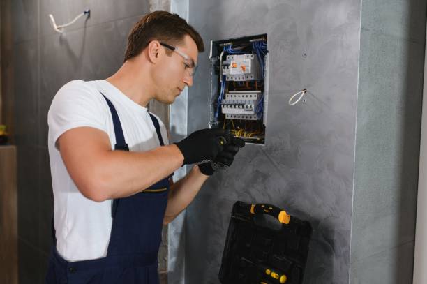 Best Electrical Upgrades for Homes  in Tok, AK