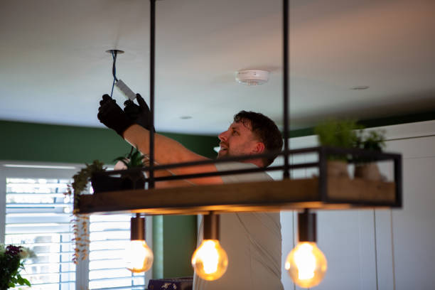 Best Outdoor Lighting Installation  in Tok, AK